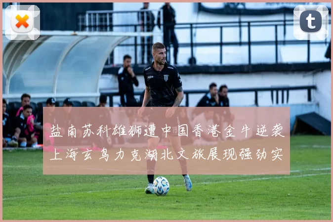 盐南苏科雄狮遭中国香港金牛逆袭上海玄鸟力克湖北文旅展现强劲实力